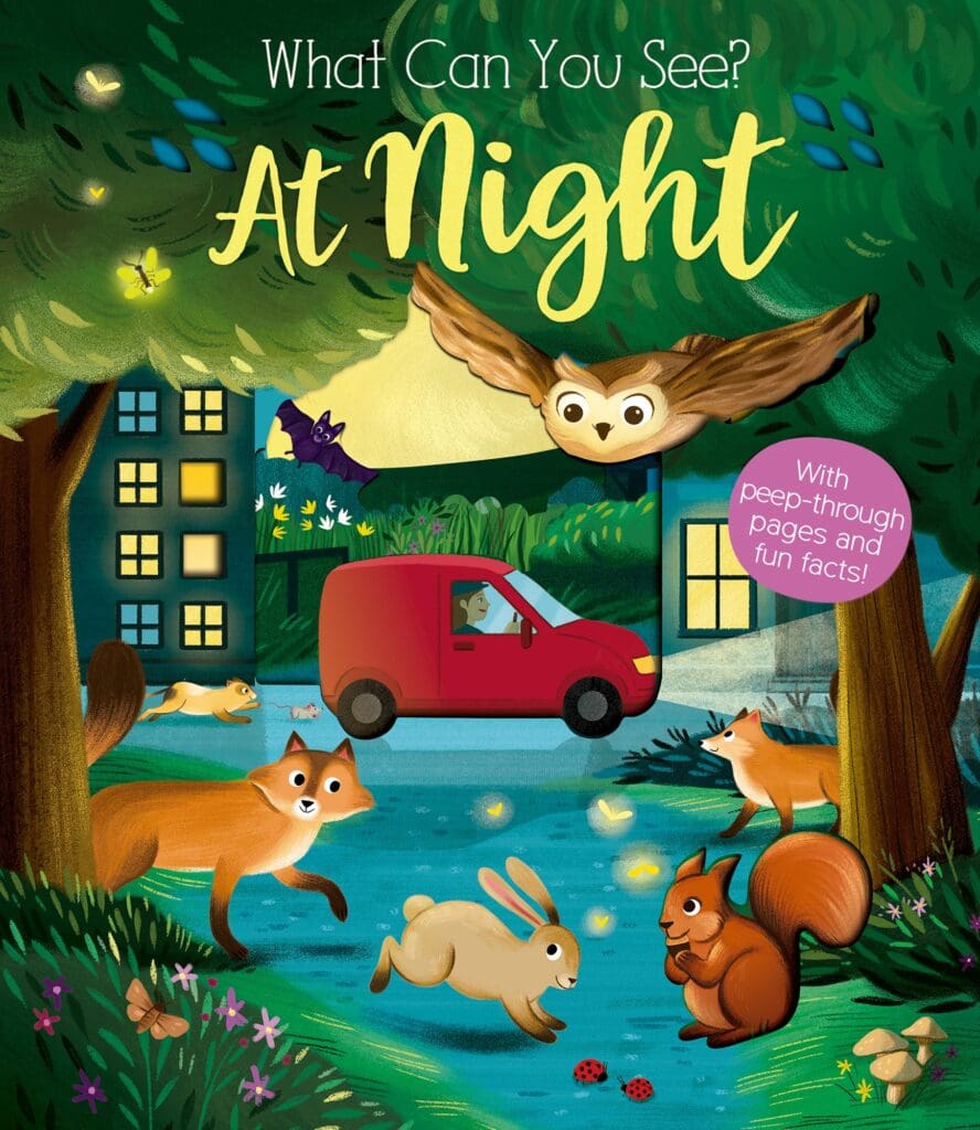 Front cover of What Can You See At Night? by Kate Ware, illustrated by María Perera